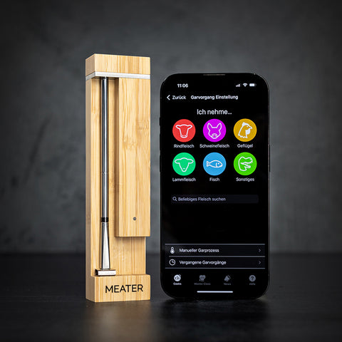 MEATER Pro View 4