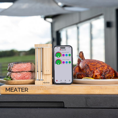 MEATER Pro Duo View 9